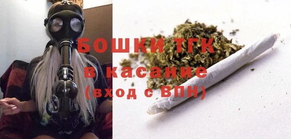 индика Абаза
