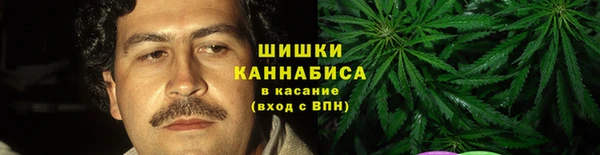 индика Абаза