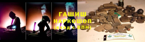 индика Абаза