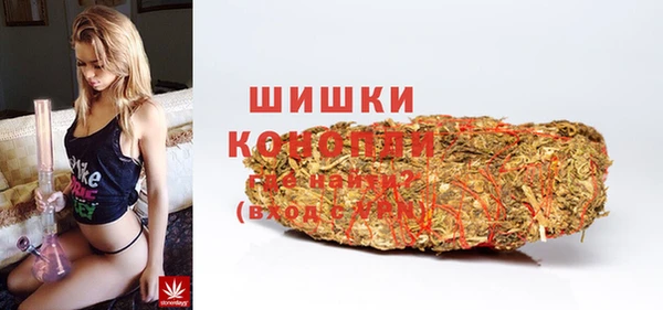 сатива Пролетарск