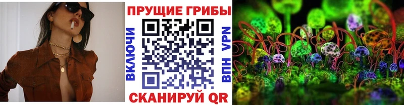 Галлюциногенные грибы Magic Shrooms Заозёрный